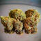 Семена сорта LA Confidential Autoflower fem (Семяныч)