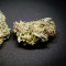 Семена сорта Lemon Zkittle fem (Dutch Passion)