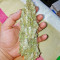 Семена сорта Chingis Khan fem (VIP seeds)