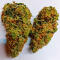 Семена сорта Durban Poison Auto fem (Семяныч)