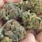 Семена сорта Tom Kush OG fem (Vision Seeds)