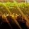 Семена сорта Northern Lights fem (Vision Seeds)