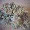 Семена сорта Bubblicious fem (Resin Seeds)