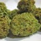 Семена сорта Hammershark fem (Resin Seeds)