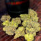 Семена сорта LA Confidential Autoflower fem (Семяныч)