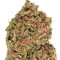 Семена сорта Dream Machine fem (Heavyweight Seeds)
