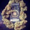 Семена сорта Zombie Haze Auto fem (Sumo Seeds)