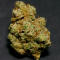 Семена сорта Zillions fem от Barney's Farm
