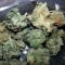 Семена сорта Grand Master Kush reg (Sumo Seeds)