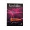 Семена сорта Buddha Quasar fem