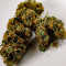 Семена сорта Do-Si-Dos Cookies fem (00 Seeds)