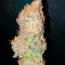 Семена конопли сорта White Widow