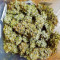 Семена сорта Vision Jack Auto Fem (Vision Seeds)