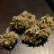 Семена сорта Banana Purp fem (Medical Seeds)