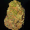 Семена сорта LA Confidential Autoflower fem (Семяныч)