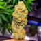 Семена сорта Bruce Banner × Pineapple (7CH Seeds & Cali Buds Seeds)