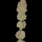 Семена сорта Serious Kush fem (Serious Seeds)