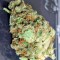 Семена сорта Money Maker fem (Strain Hunters)