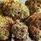 Семена сорта LA Confidential Autoflower fem (Семяныч)
