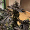 Семена сорта Royal Cookies fem (Royal Queen Seeds)