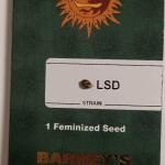 lsd-fem-barneys-farm.jpg