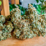 medusa-f1-auto-fem-rqs.jpg