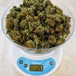 big-devil-xl-auto-fem-sweet-seeds.jpg