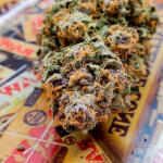 gelato-auto-fem-Semyanich.jpg