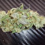 booberry-cookies-rbx-fem-ethos-genetics.jpg