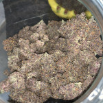 banana-purple-punch-auto-fem-fastbuds.jpg