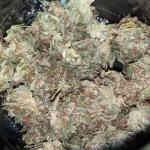 dossidos-cookies-autoflower-fem-easy-grow-seeds.jpg