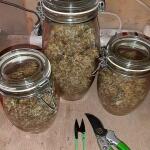 gorilla-auto-gorilla-glue-auto-fem-fastbuds.jpg