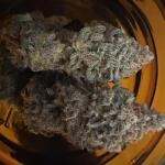 booberry-cookies-rbx-fem-ethos-genetics.jpg