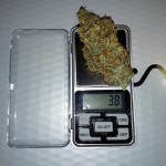 snow-white-nirvana-seeds.jpg