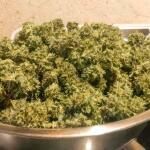 jack-herer-fem-seedkeepers.jpg