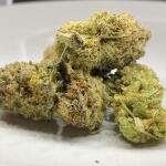 orange-kush-cake-r1-fem-ethos-genetics.jpg