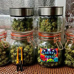 super-lemon-haze-fem-Semyanich.jpg