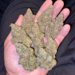 vanilla-frosting-fem-humboldt-seed-company.jpg