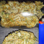 grandaddy-purple-fem-blimburn-seeds.jpg