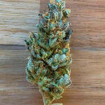 white-wedding-rbx-fem-ethos-genetics.jpg