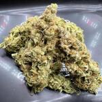 papaya-frosting-fem-barneys-farm.jpg