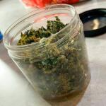 runtz-auto-fem-barneys-farm.jpg