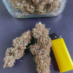 wedding-glue-auto-fem-fastbuds.jpg