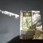 lowryder-auto-fem-vision-seeds.jpg