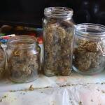 miracle-alien-cookies-mac-fem-7ch-american.jpg