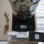 sexy-cinderella-auto-fem-Semyanich.jpg