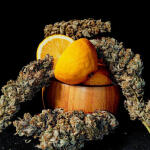 lemon-citron-fem-humboldt-seed-organization.jpg