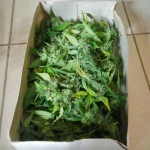 Auto_Super_Hash.jpg